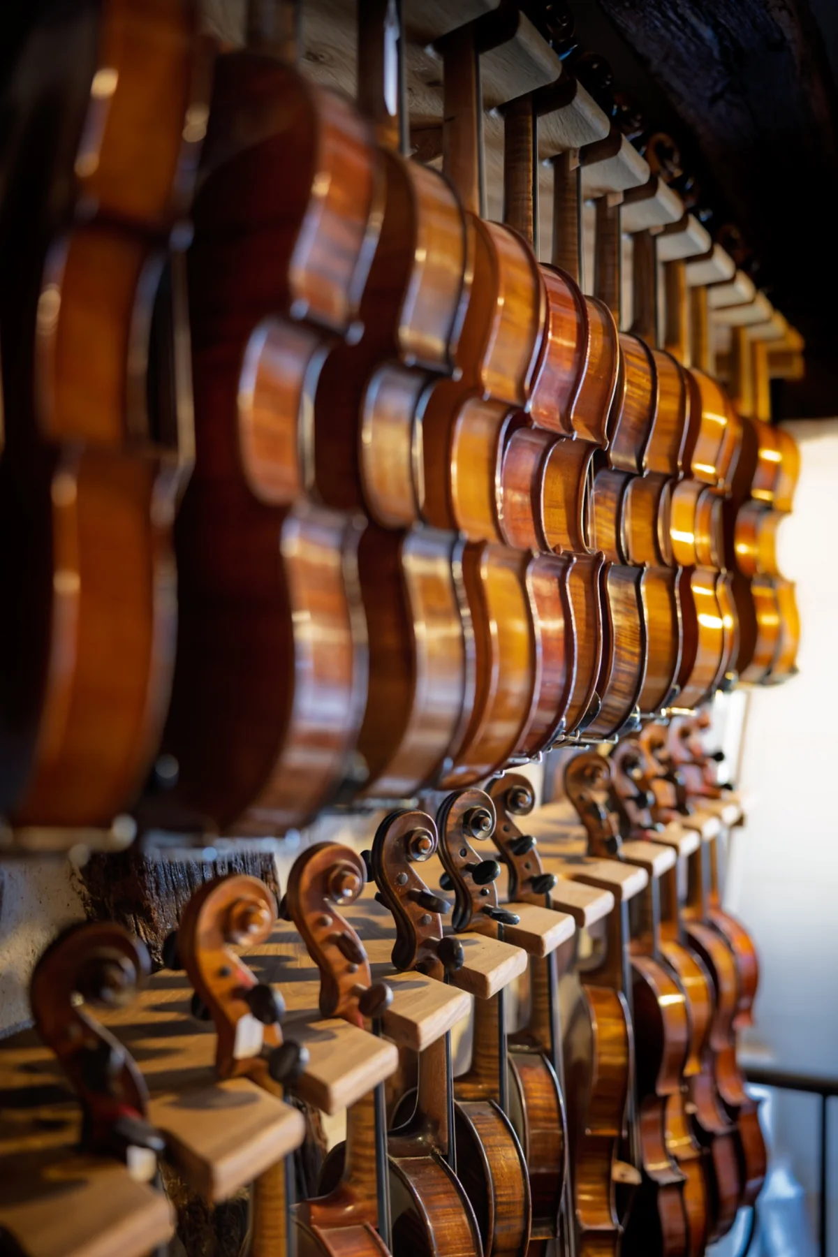 Rangée de violons dans l’atelier